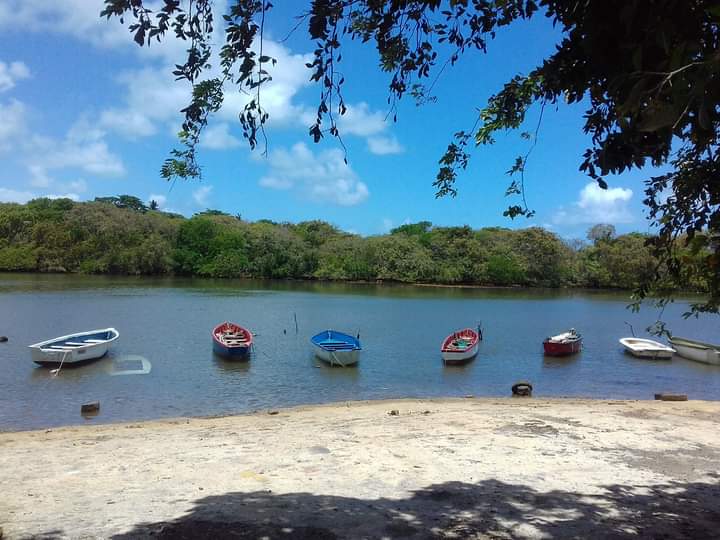MjplusEsther's tweet photo. A view from my island mauritius mahebourgh un village hors du commun #photo #PhotoOfTheDay #mauritius #monile #ilemaurice #paysage https://t.co/ZsEtV5nCXN