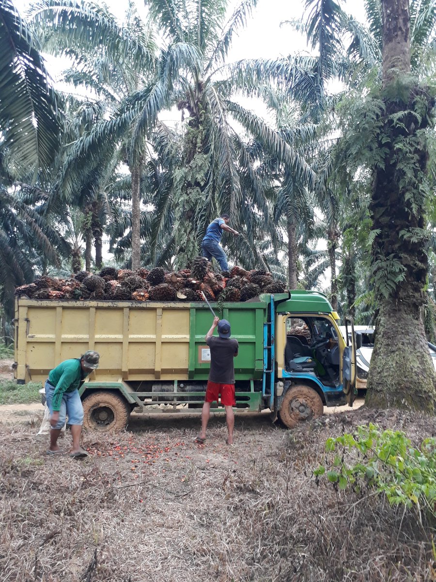 taufik_qu's tweet photo. Semua berawal dari usaha tak usah muluk" yang pasti yakin dan tekun untuk berusaha dan menjalani. https://t.co/iZnDQTvmtH
