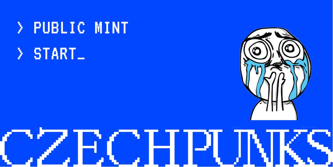 CzechPunks tweet media