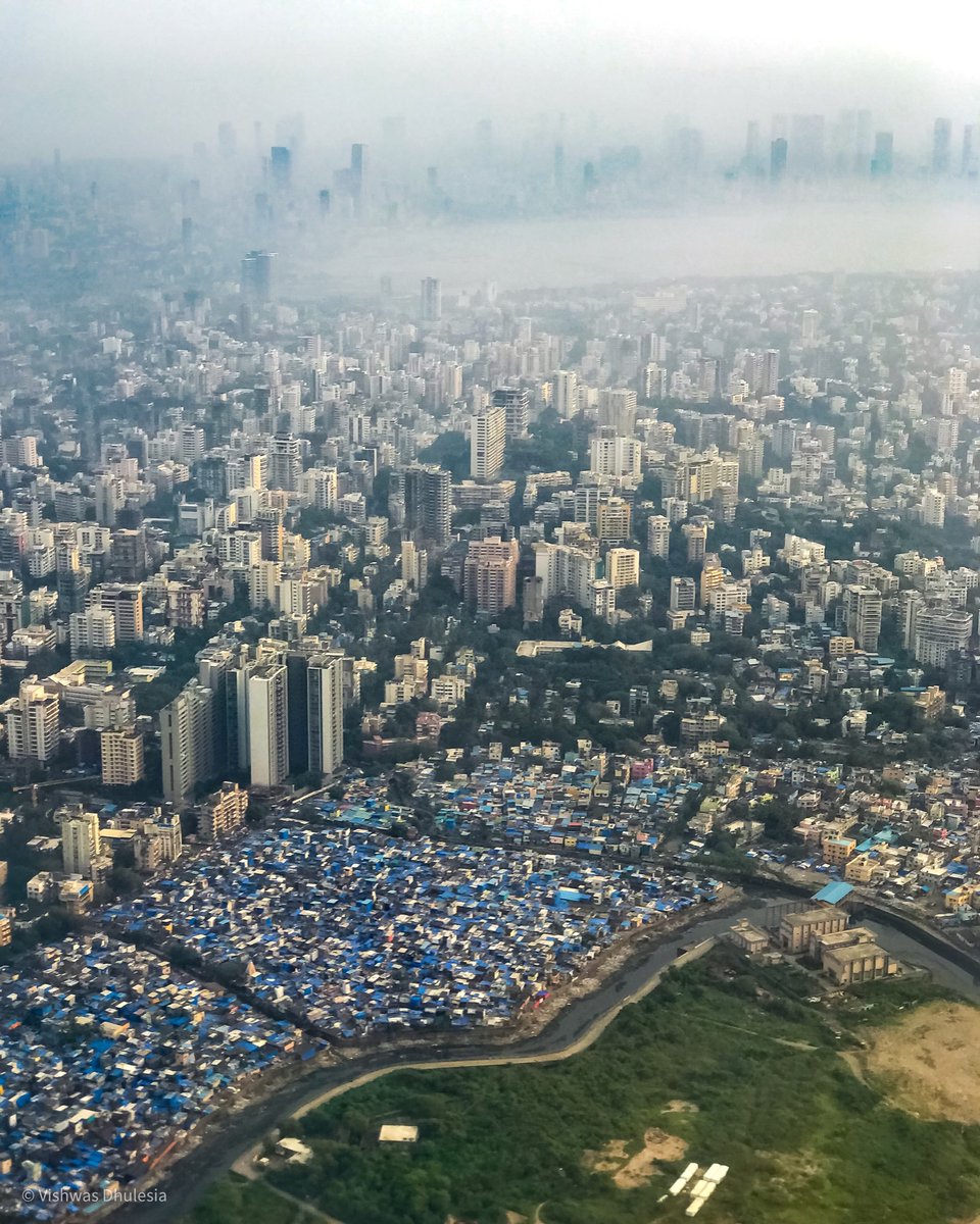 vish🪄 tweet media