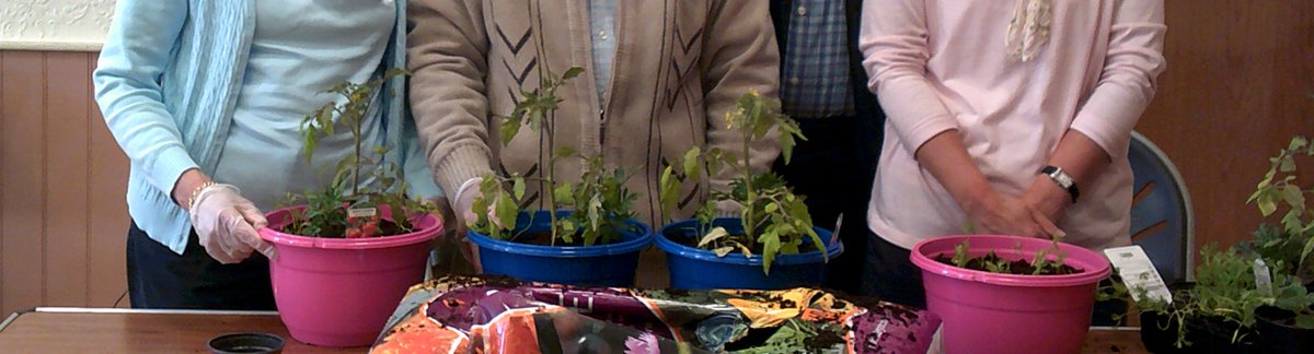 TheMumsnot's tweet photo. 'Now I run a small social enterprise, supporting people living with dementia via horticultural therapy, and his has raised a whole new set of thoughts in my head. Who will look after me when I am older?' 
#childfree #horticulturaltherapy #dementia #notmumlife https://t.co/ICIVkY2V2t