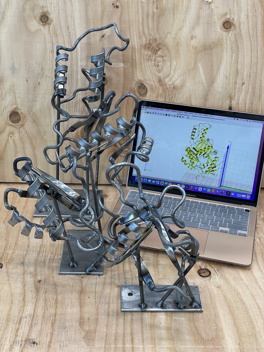 BryanWelm's tweet image. ~50 years ago Howard Temin @McArdleLab discovered Reverse Transcriptase, a viral enzyme that converts RNA into DNA. For this discovery he shared the Nobel Prize with Dulbecco and Baltimore in 1975. Build in progress is an RT sculpture for @UWMadison to honor Temin