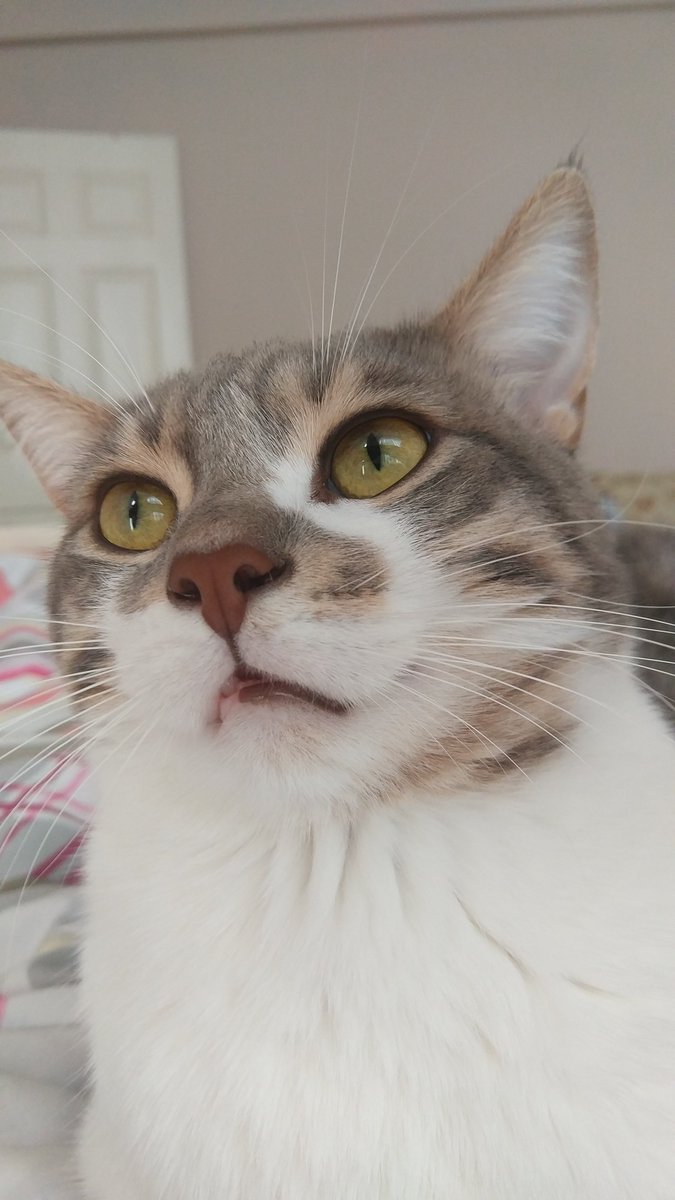 #BerkeyePeriteÖzgürlük