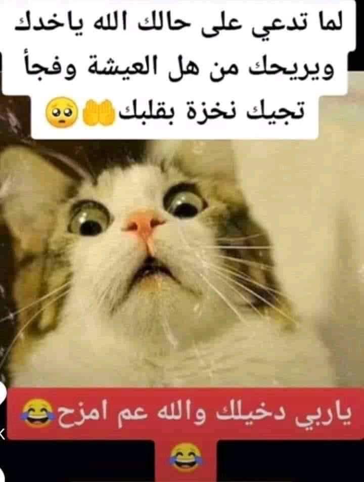 kmel jml (@kmeljml) on Twitter photo 