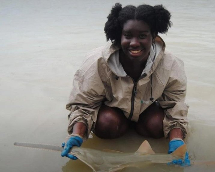 Elasmo_Gal's tweet photo. #BIMSRollCall my name is Jasmin! I am a marine ecologist that specializes in the conservation of sharks and rays. I'm also the CEO of @MISS_Elasmo. My current research focuses on the critically endangered smalltooth sawfish! I'm super excited about #BIMSWeek2! https://t.co/GvLu00wt2C