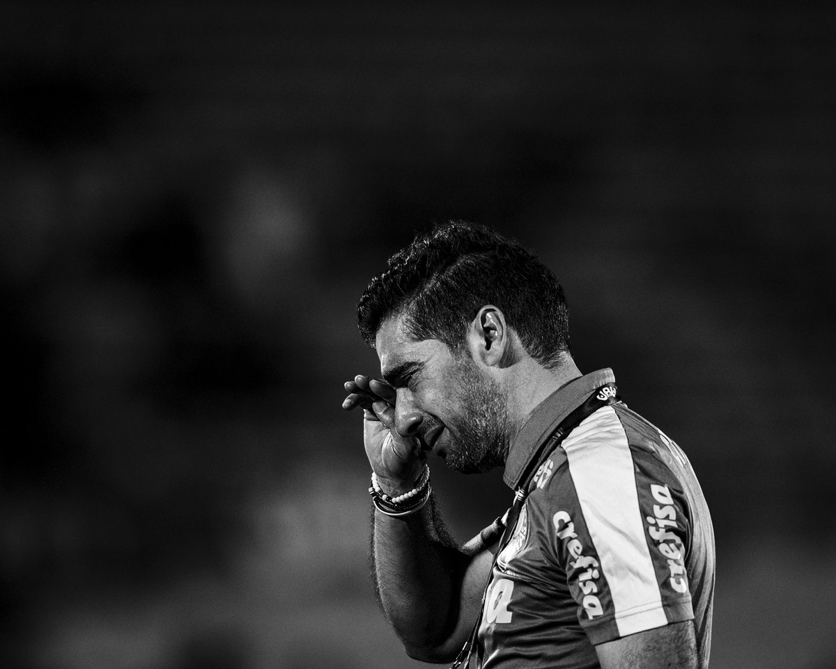 Lindo registro

📷 <a href="/yuriclfoto/">Yuri Laurindo</a> 

💚🐷