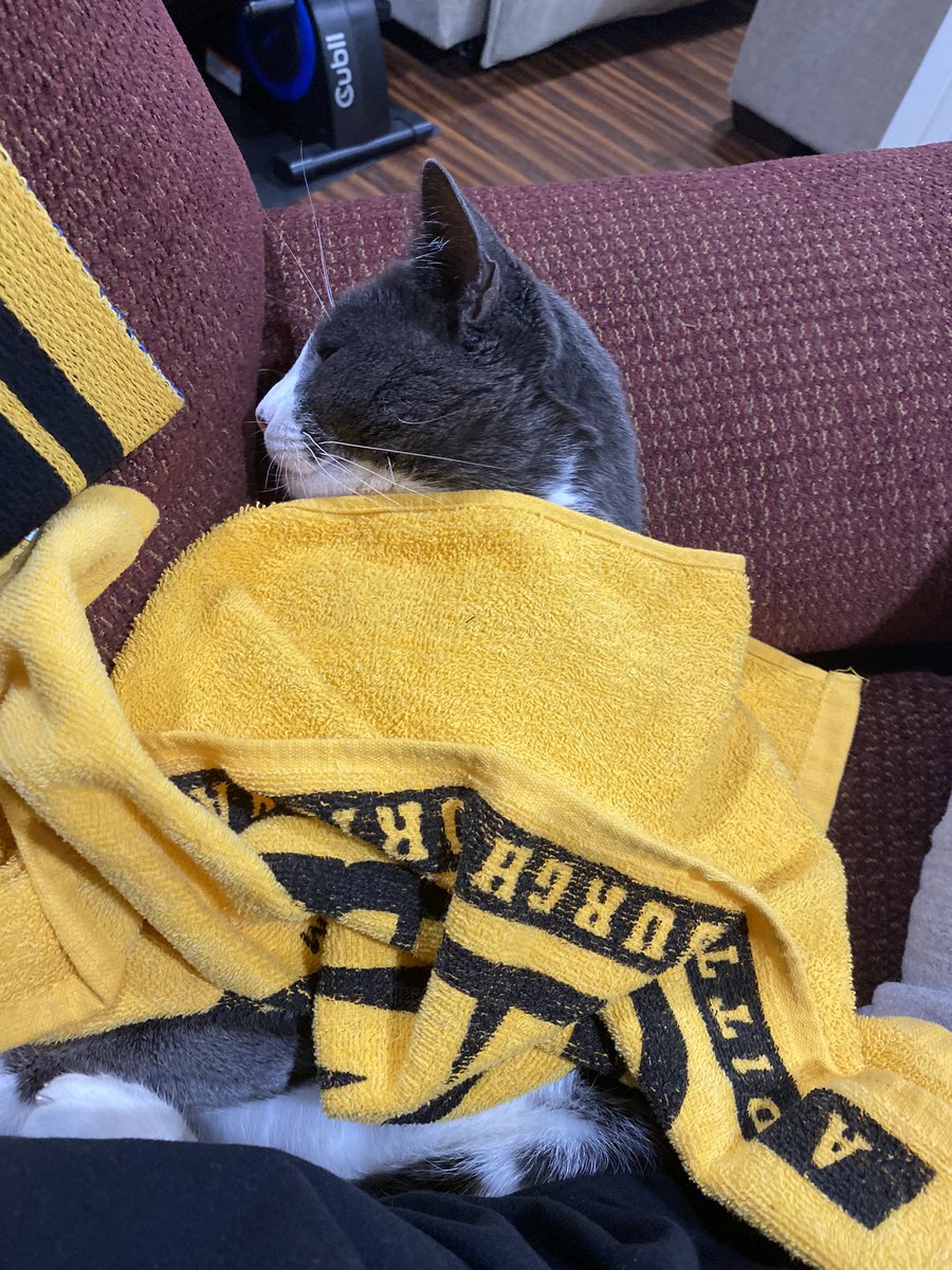 Wrapped in his terrible towel! #steelers #SteelersNation