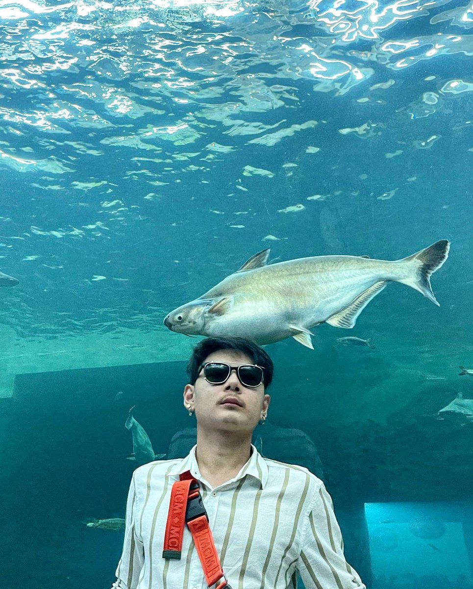 Bentpollapat's tweet photo. Underwaterworld https://t.co/HUV8dqtIRd
