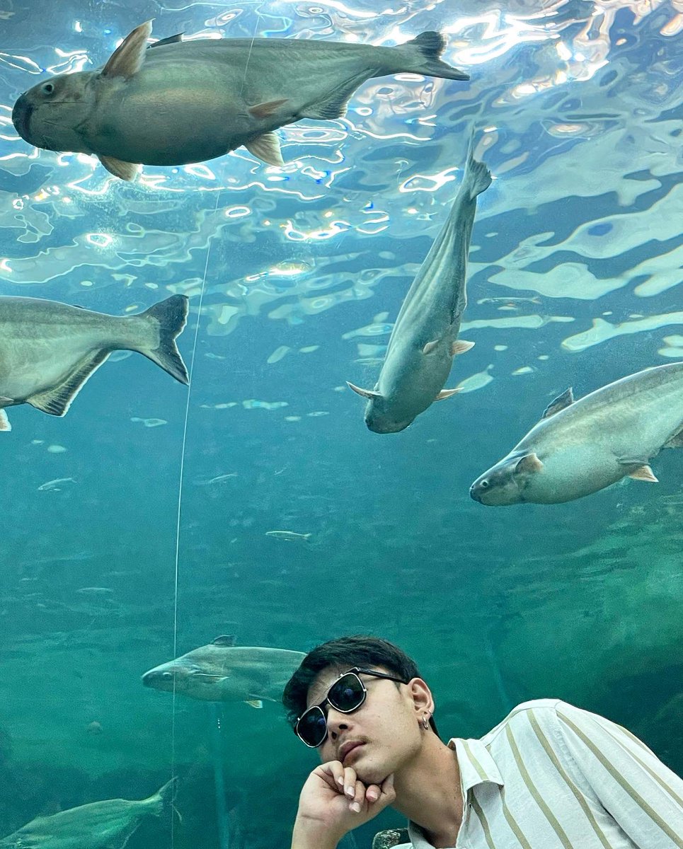 Bentpollapat's tweet photo. Underwaterworld https://t.co/HUV8dqtIRd