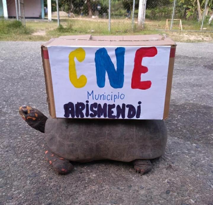 ROBERTOMARRERO's tweet photo. Aquí vienen las 3 actas de Barinas, el retraso nos confirma lo que todos sabemos. ⁦@freddysuperlano⁩ es el nuevo Gobernador de Barinas! https://t.co/ItJ8UybcnN