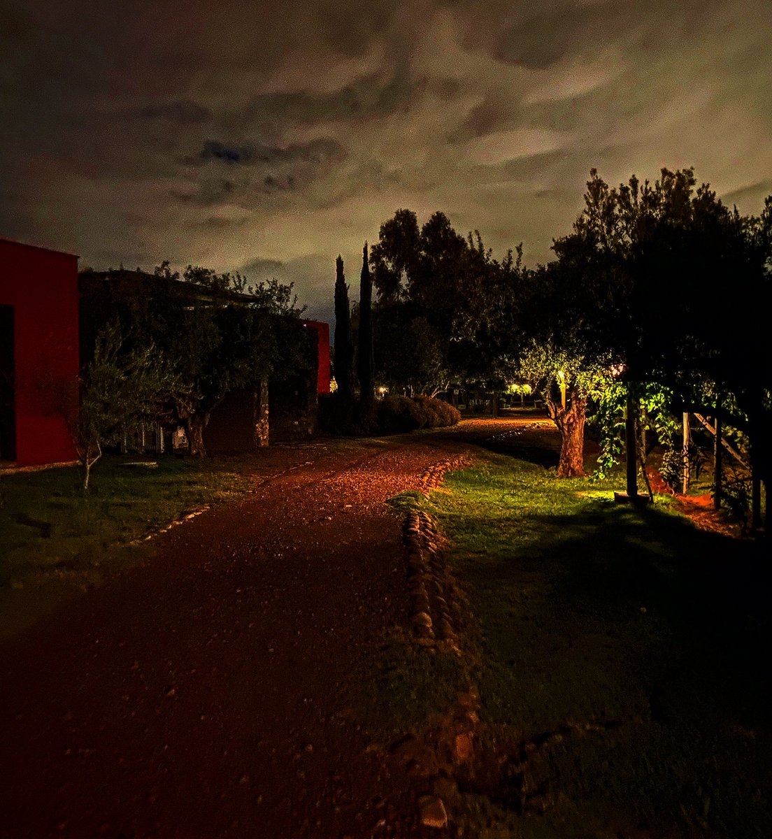 alevigilmalbec's tweet photo. Foto de madrugada en Chachingo #Mendoza https://t.co/CMSOFTWi6W