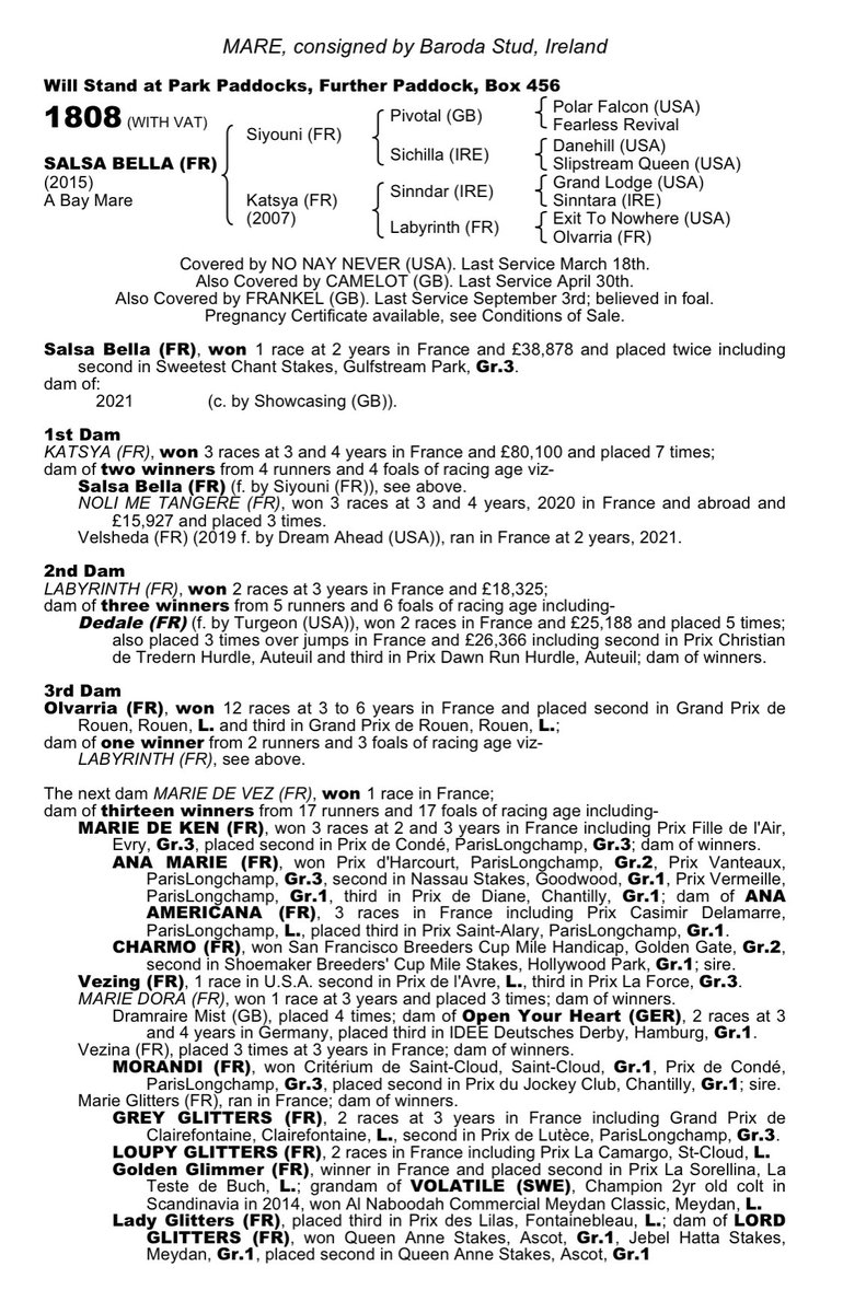 BarodaStudIre's tweet photo. Lot 1808 Salsa Bella, a 2yo winning and Gr 3 performer, by Siyouni in foal to the mighty Frankel southern time. Carrying a colt and you can view her 2021 colt foal by Showcasing on the 🎥 👉 https://t.co/YwFNnw0EFq

She’s selling Tuesday at @Tattersalls1766 #broodmare https://t.co/HcfTiYMNIN