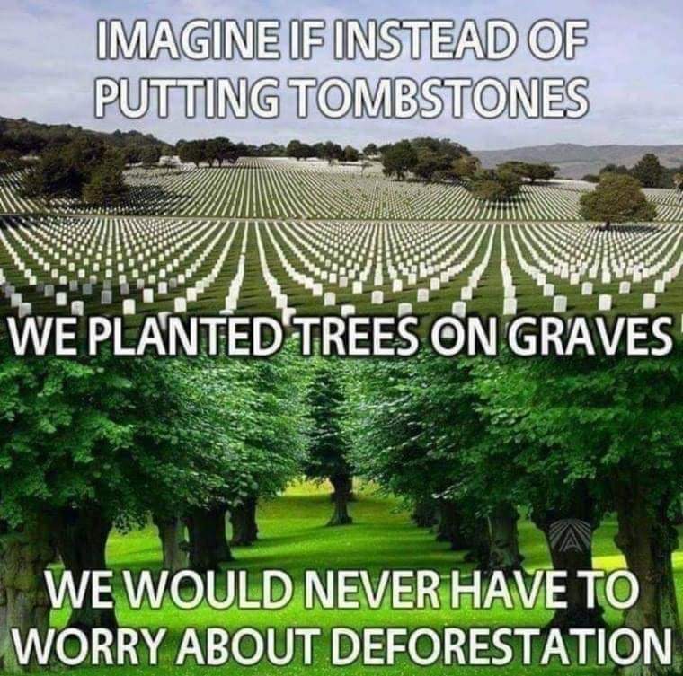 girlandpearl's tweet image. #GlobalWarming #billiontree #deforestation