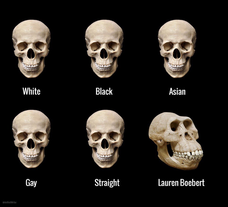 𝖠𝗆𝖻𝖾𝗋 tweet media