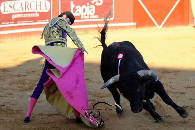 portaltaurino's tweet photo. Niebla @AsuncionEventos con erales de Juan Pedro 
@JPDomecq para el moronense Joselito Sánchez 2orejas/ovación, el linarense @MarcosLinares_p oreja/ovación y el sevillano Diego Bastos oreja/2yrabo @portaltaurino https://t.co/YJTtln7THK
