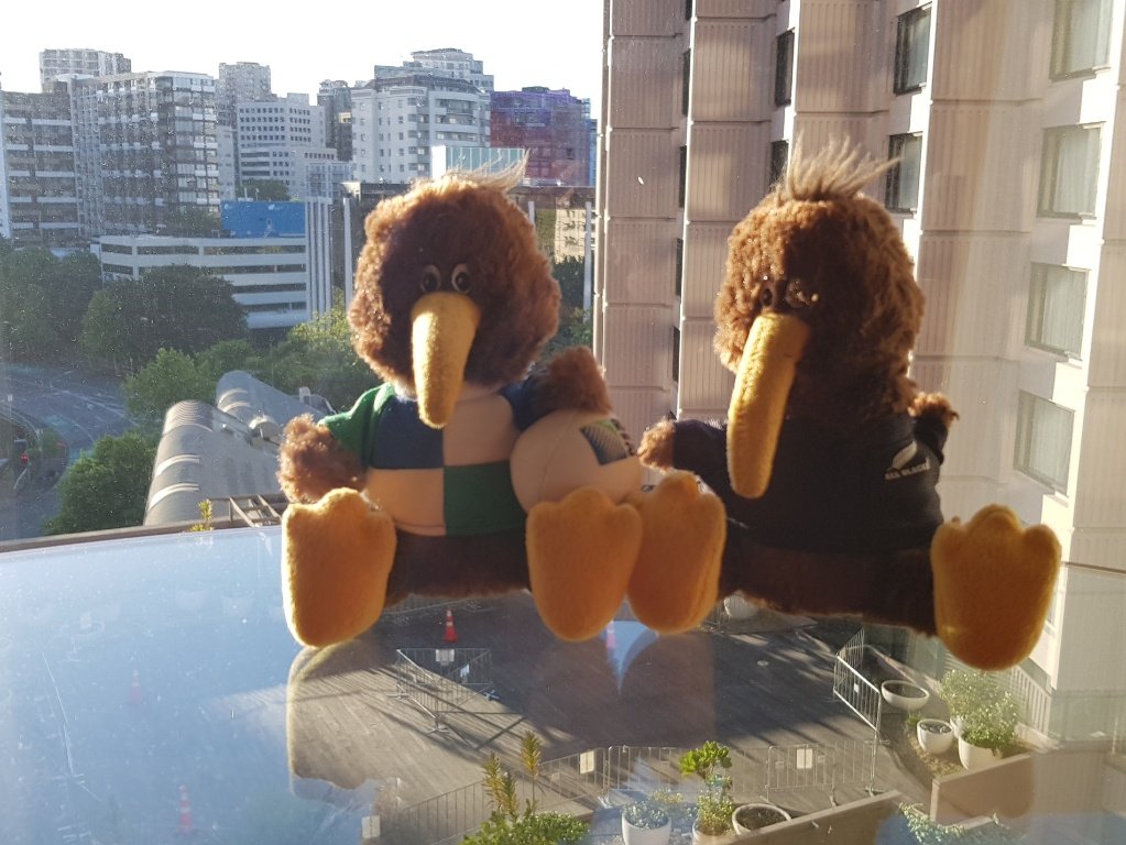 Tane_Zac's tweet photo. MIQ Day 0: The boys have woken up to a sunny day in @Auckland_NZ. @covid19nz
#Aotearoa #NZL @airnzaustralia #AirNZ @FlyAirNZ #MIQ #HotelIsolation #Covid19 #GrandMillenium https://t.co/af2xFqPsI3