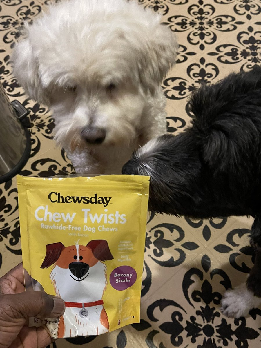 TargetedPet's tweet photo. These new Chewsday Treats are a hit with our boys, Jeffrey and Jackson.  One day delivery on #amazonprime They like the Twists and the Braided long-lasting chews.  #chewsday #dogsoftwitter https://t.co/qewL40JqrK