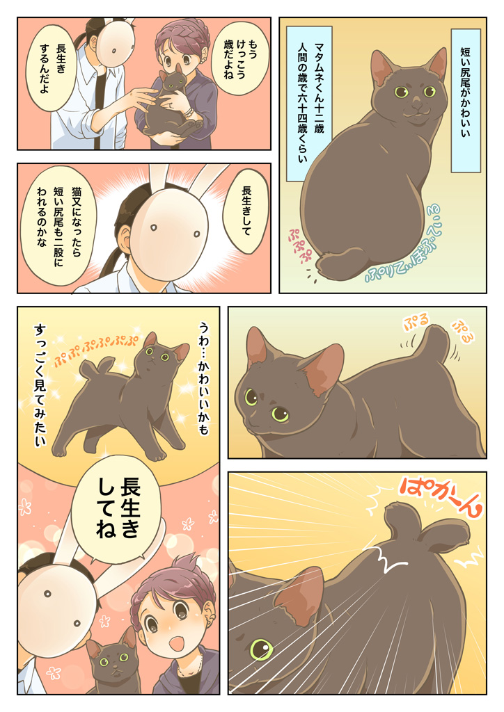江戸時代、長い尻尾の猫は尻尾が割れて猫又になりやすいと言われ、尻尾が割れる危険性の少ない短い尻尾の猫は人気があったそうな。
しかし令和の我が家では元気に長生きしてくれれば尻尾が割れるくらいどうってことないどころか想像するだけで愛しい!っていう話。