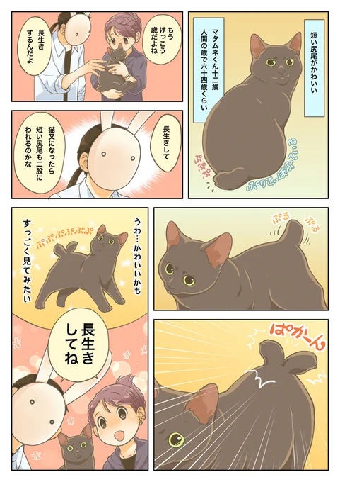 江戸時代、長い尻尾の猫は尻尾が割れて猫又になりやすいと言われ、尻尾が割れる危険性の少ない短い尻尾の猫は人気があったそうな。
しかし令和の我が家では元気に長生きしてくれれば尻尾が割れるくらいどうってことないどころか想像するだけで愛しい!っていう話。 