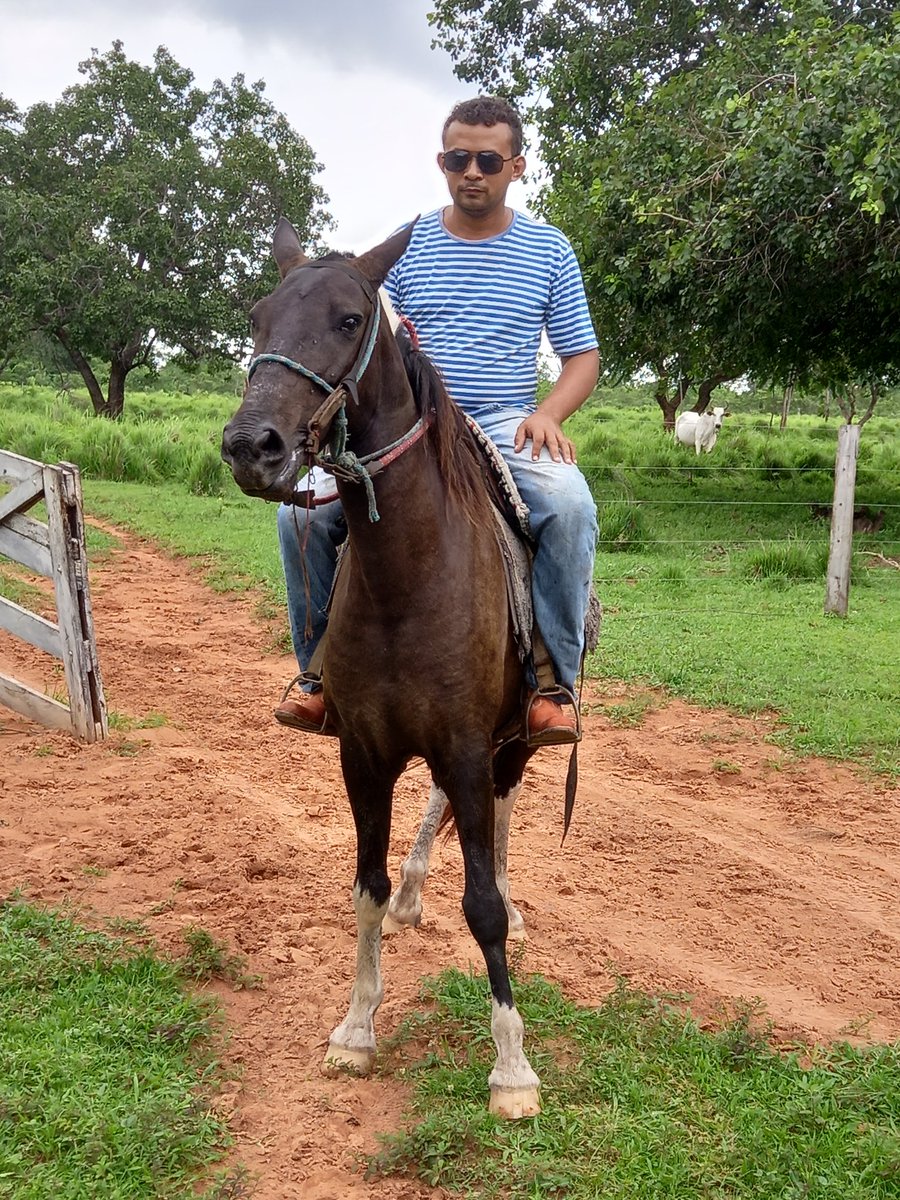 IvaneyGomes's tweet image. Fazenda veredao