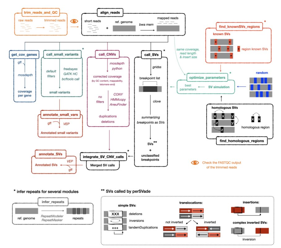gabaldonlab's tweet photo. #preprint "PerSVade: Personalized Structural Variation detection in your species of interest"
#PerSVade #genomics #bioinformatics #variants
https://t.co/g5T4XgRF7C https://t.co/y6qzeZK6Nc