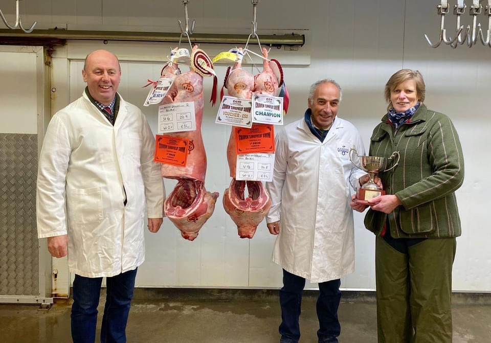 Beltex Sheep Society tweet media