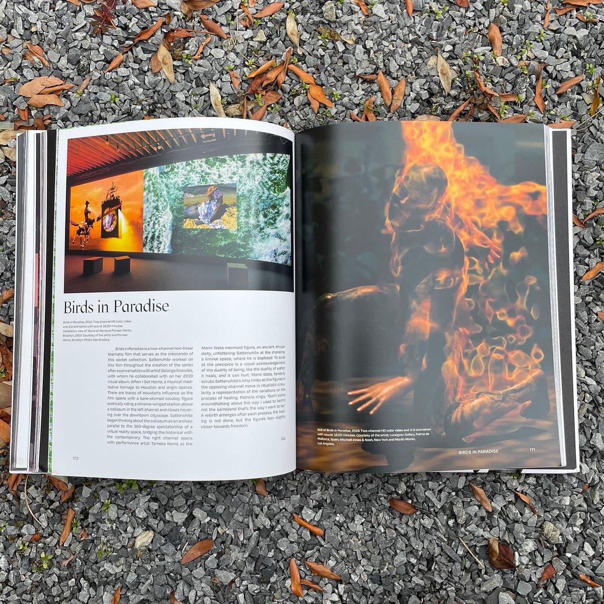 artbookps1's tweet photo. ‘Jacolby Satterwhite: How lovly is me being as I am’ is featured for Museum Store Sunday. Pick it up after visiting Satterwhite’s @momaps1 installation—down the hall from us on the first floor. https://t.co/TaiHCJc14S https://t.co/5h2bkTpcNb
