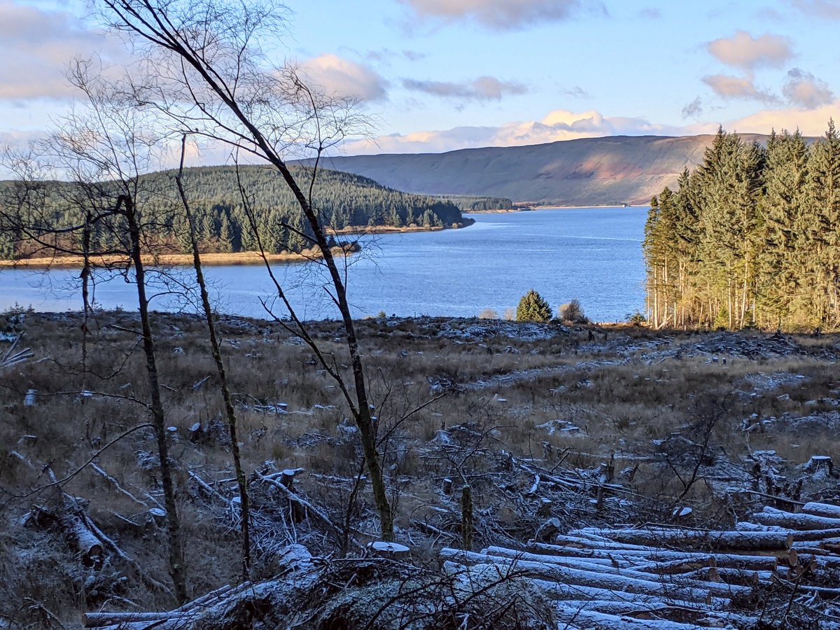 gowiththat27's tweet photo. Sometimes long shadows bear down upon us. In the shade, light always gets in. A frosty Thordawg walk today worked it's magic. #SoulValue #CarronValley https://t.co/YjH92qtnV2