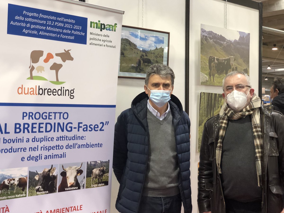 innovapsr's tweet photo. C’eravamo anche noi a @CremonaFiere con il Dr Bonacini di @anaborare a vedere le bellissime razze a duplice attitudine del progetto #dualbreeding ! Un patrimonio da tutelare e valorizzare
@LaStatale @RegLombardia  @AlbertoMLuciano #PSR20142020 #biodiversity https://t.co/09scok8T3l
