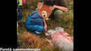 Ingenting er bedre enn å hjelpe barna å forstå sammenhenger sånn at de skjønner at slemmingene i Bambi ikke er de slemme. ❤

Det er jo tross alt slik verden er om vi vil spise eksklusiv hjortemedaljong.

#NeiTilDisneyfiseringAvVerden
