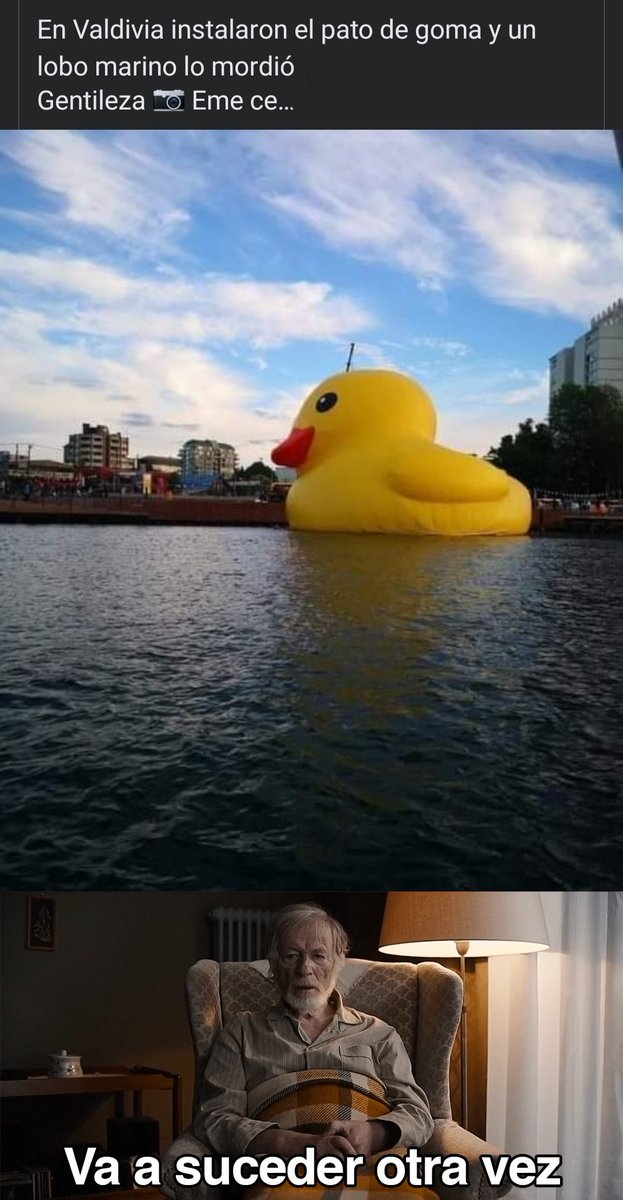 Jaimertaker's tweet photo. (Va a suceder otra vez)
-En #Valdivia instalaron el #PatoDeGoma y un lobo marino lo mordió...
#PatodeHule https://t.co/zUgNawW7fv