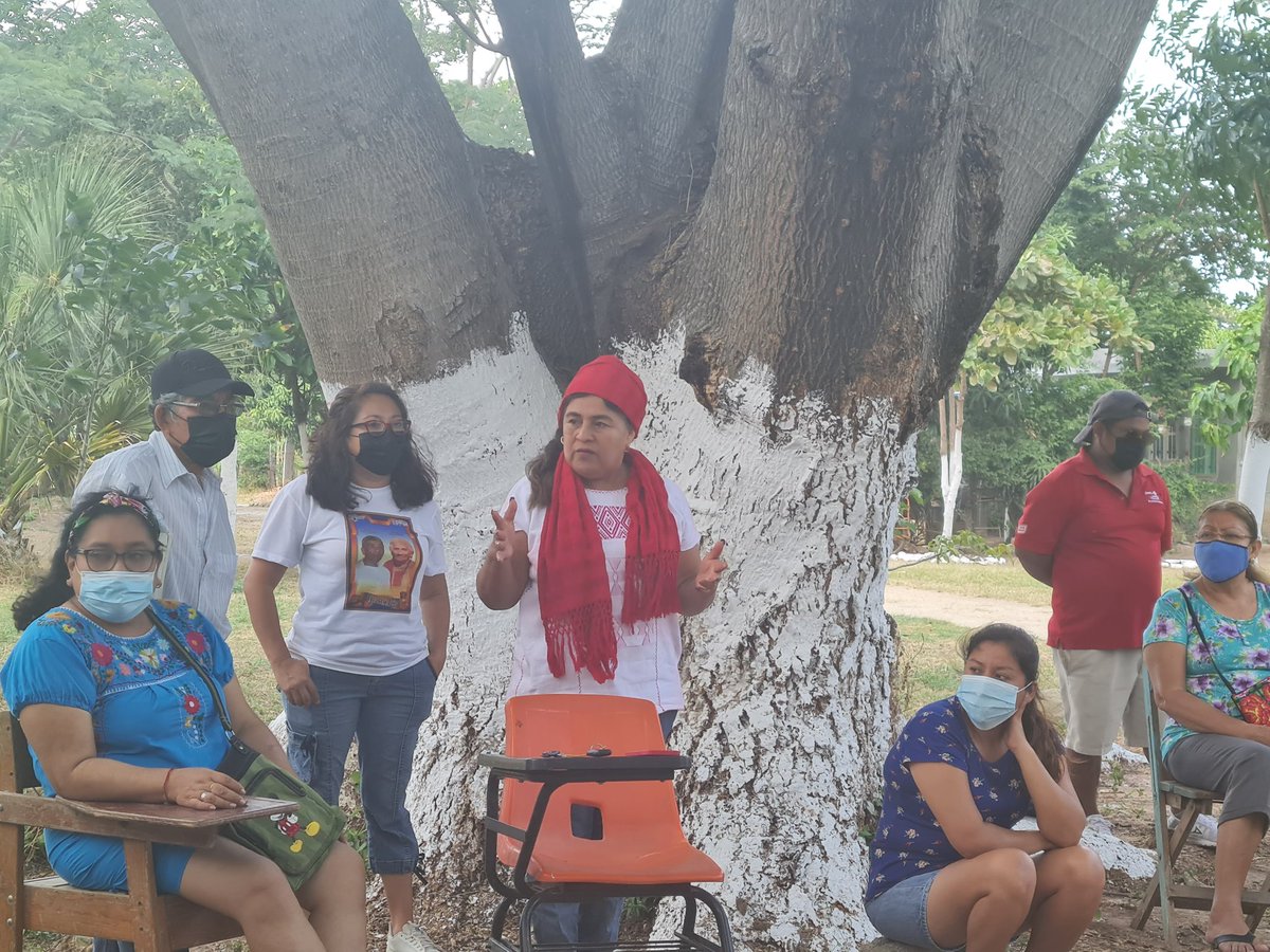 RogeliaGLuis's tweet photo. Desde mi querido #Juchitan seguimos trabajando y construyendo desde la base, en el territorio, con nuestra gente, mujeres y hombres comprometidxs con el desarrollo de nuestra colonia #SimonaRobles #SinMujeresNoHayDemocracia https://t.co/3HSFz3qSwG