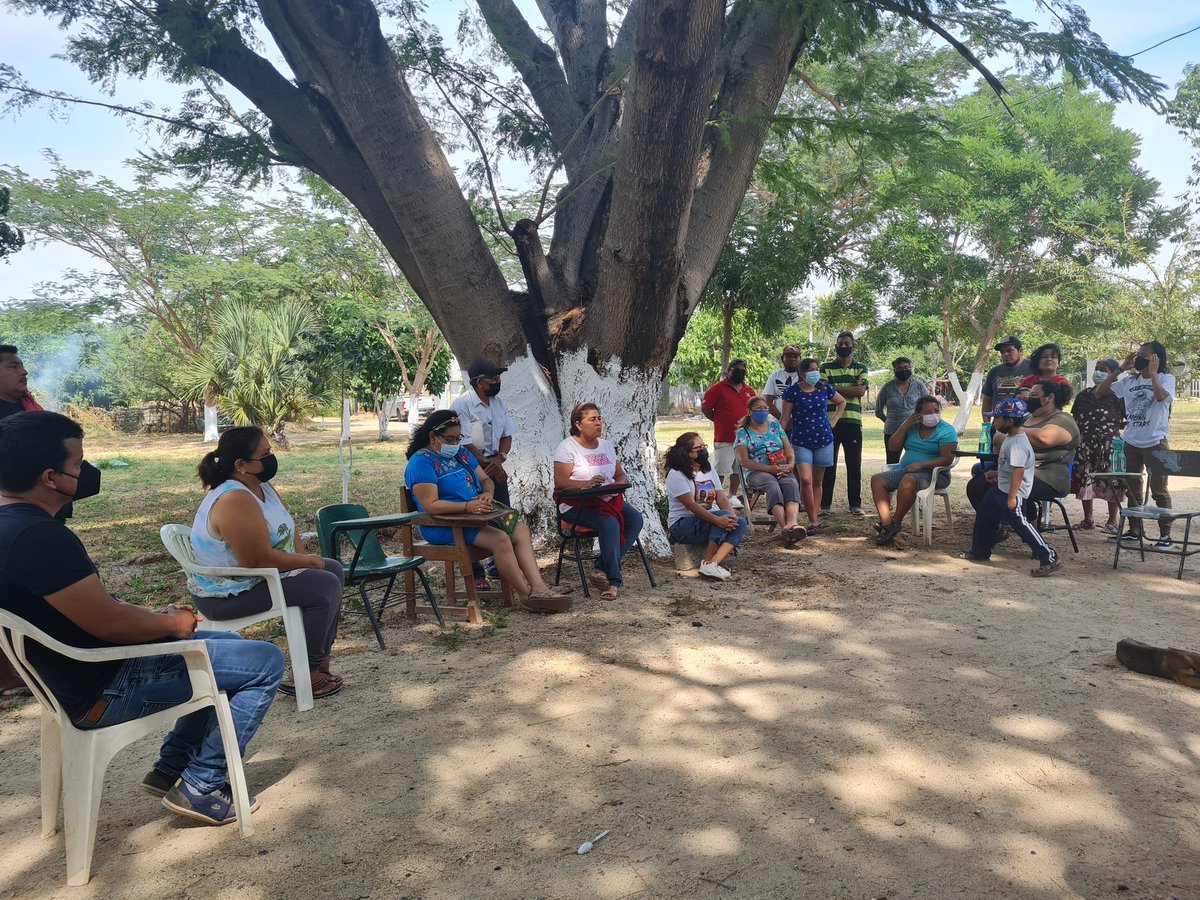 RogeliaGLuis's tweet photo. Desde mi querido #Juchitan seguimos trabajando y construyendo desde la base, en el territorio, con nuestra gente, mujeres y hombres comprometidxs con el desarrollo de nuestra colonia #SimonaRobles #SinMujeresNoHayDemocracia https://t.co/3HSFz3qSwG