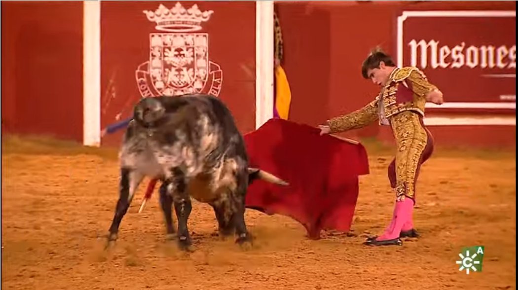 JuanLaMontera's tweet photo. Muy buena novillada desde #Niebla el toreo tiene futuro. 
#DiegoBastos muy torero, templado y mandando con las zapatillas asentadas, será figura. 
#MarcosLinares a cuajado dos novillos más complicados, fallo a espadas. 
#JoselitoSánchez muy buena actuación, más centrado en su 2º https://t.co/9U0ONFfzuD