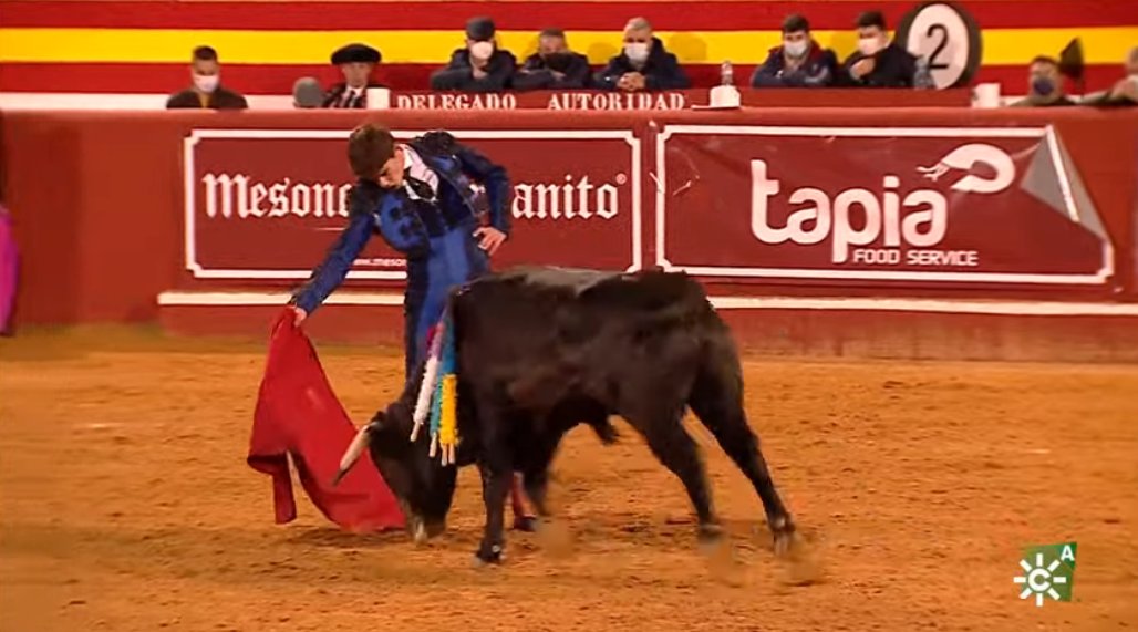 JuanLaMontera's tweet photo. Muy buena novillada desde #Niebla el toreo tiene futuro. 
#DiegoBastos muy torero, templado y mandando con las zapatillas asentadas, será figura. 
#MarcosLinares a cuajado dos novillos más complicados, fallo a espadas. 
#JoselitoSánchez muy buena actuación, más centrado en su 2º https://t.co/9U0ONFfzuD