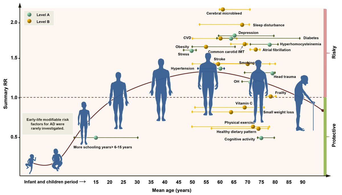 Evidence-based prevention of Alzheimer's disease: systematic review and meta-analysis of 243 observational prospective studies and 153 randomised controlled trials | Journal of Neurology, Neurosurgery &amp; Psychiatry | #Alzheimers #AD #dementia 
jnnp.bmj.com/content/91/11/…