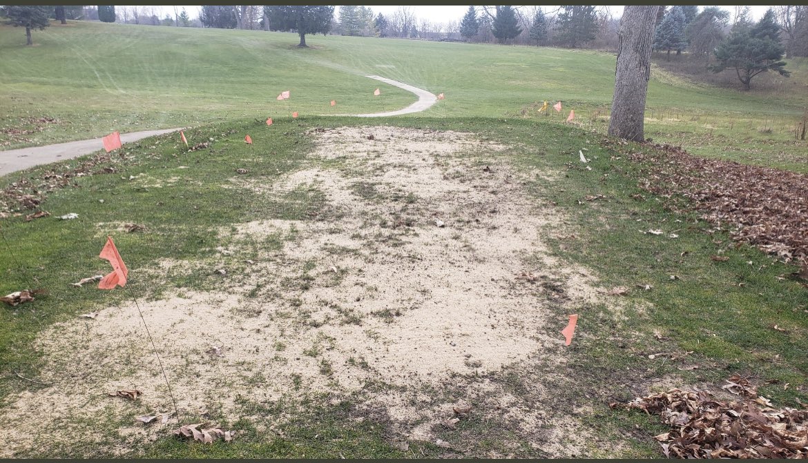 MiguelVegaTurf's tweet photo. I put orange flags down so golfers think….. “Miggy has a plan”. https://t.co/QZUfm3oNKa