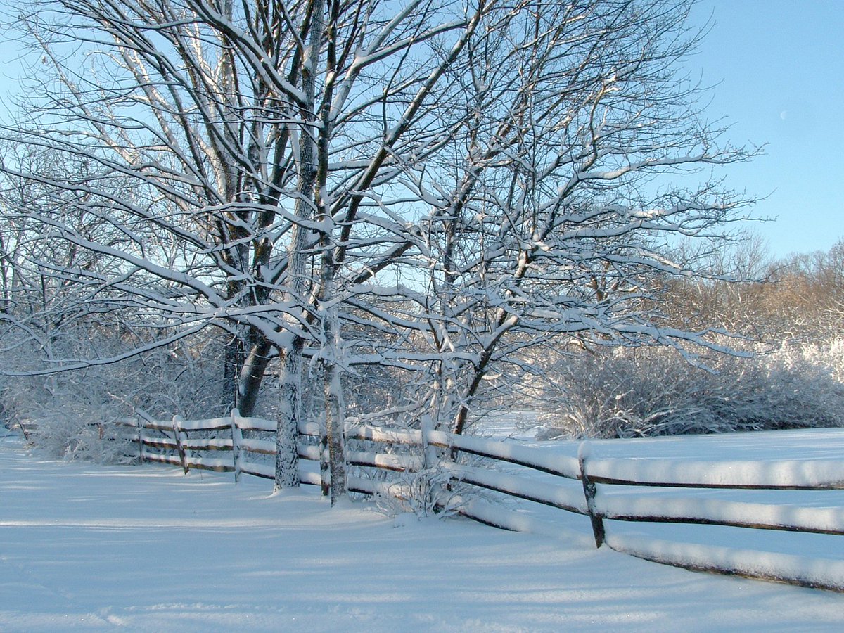 AmyRose3's tweet photo. Country living fun home activities, inside and out! https://t.co/YwI9E3t9N0 #countrylivingideas #countryliving #homesteading #smallacreage #rualliving #familyfun #farmfamily #funhomeactivities #smallacreageliving #fungatheringideas #christmasfunideas #holidayfun #funathome #farm https://t.co/o8rp3fU0oL