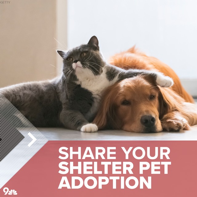 9NEWS Denver tweet media