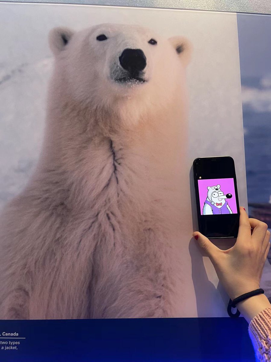 Who do you like the most, Ambear?<a href="/polarbearsnft/">Fluffy Polar Bears</a> <a href="/miocnichijou/">bitMio</a>