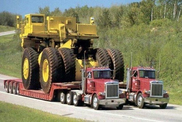 Son of Dad tweet media