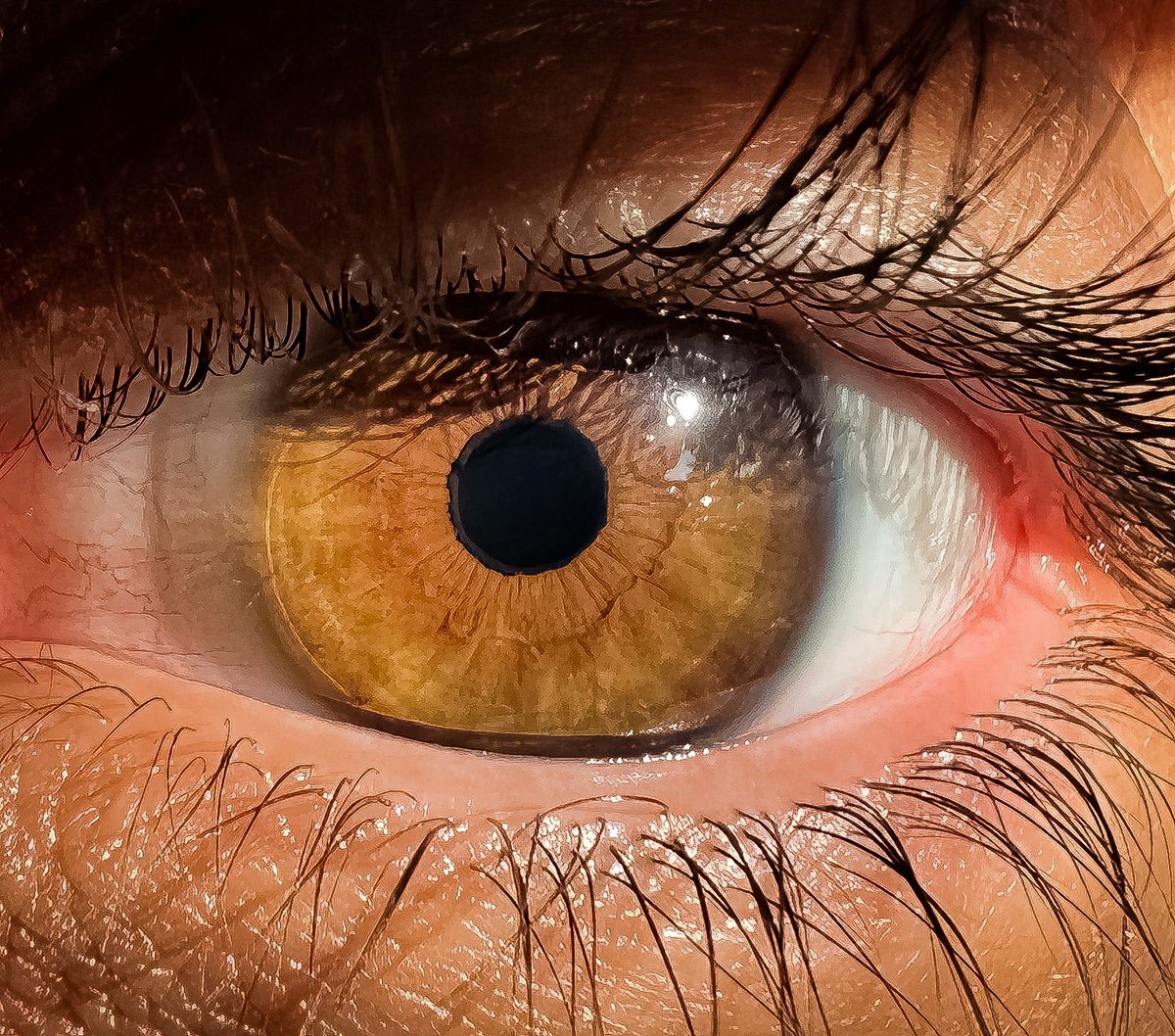 SamerShenouda3's tweet photo. The macro lens on the iPhone 13 is amazing. This is my eye with very very little editing:
#MacroOnIphone #shotoniphone #shotoniphone13pro #applephoto https://t.co/KqfGOoxUfu
