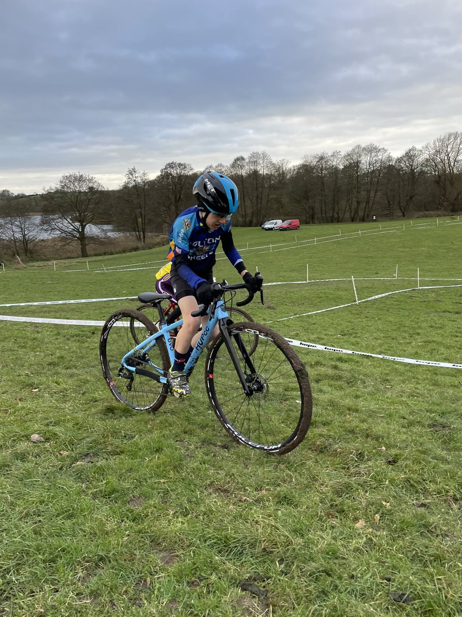 Steven Obertelli tweet media