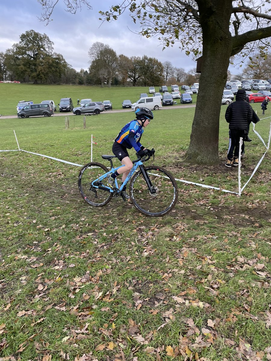 Steven Obertelli tweet media