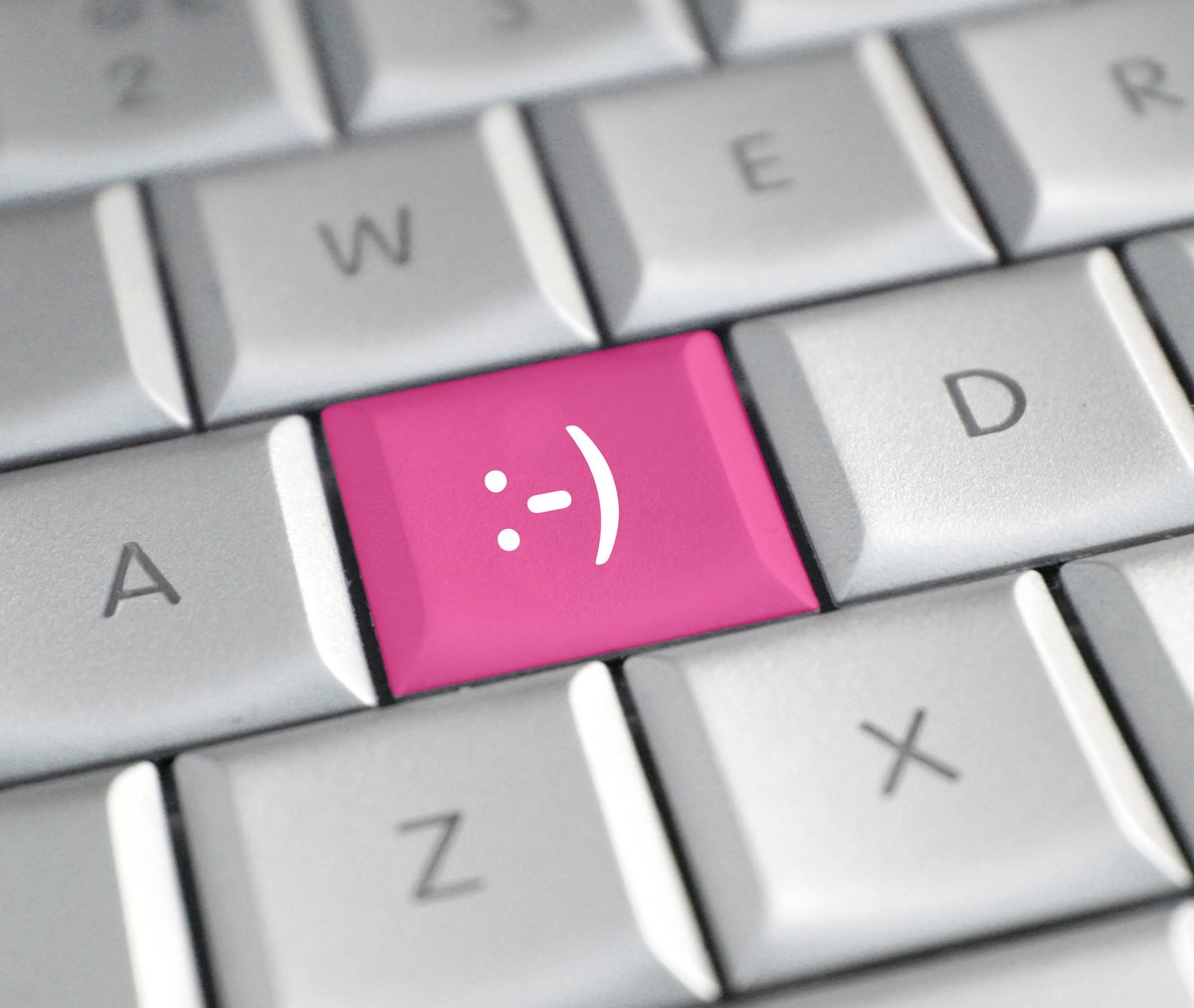 emaze_tweets's tweet photo. ✨#HappyWorldComputerLiteracyDay!✨
🤗As a SaaS company, we are especially glad for this day
But for those of us who are less familiar, the aim of the day is to encourage the development of technological skills https://t.co/mY7kn7m9pg