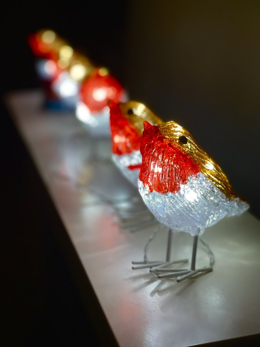 TeacherSimo's tweet photo. It’s beginning to look a lot like Christmas…… 🎶 🎵 🌲 ❤️ ❄️ #decorationtime #robin #rockingrobin https://t.co/UbVJEZuQvm