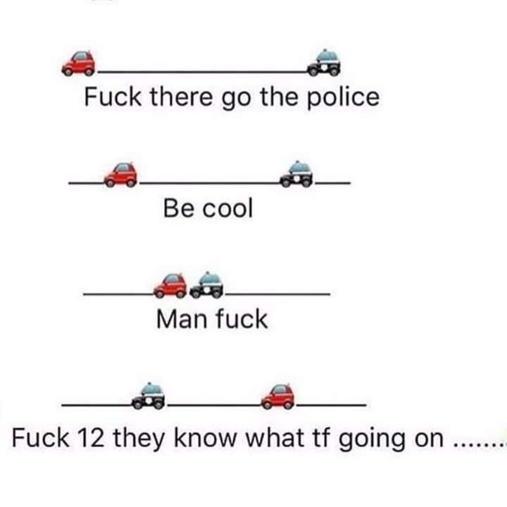 playboyykarii's tweet image. Nobody: 

Black people when they see a cop: