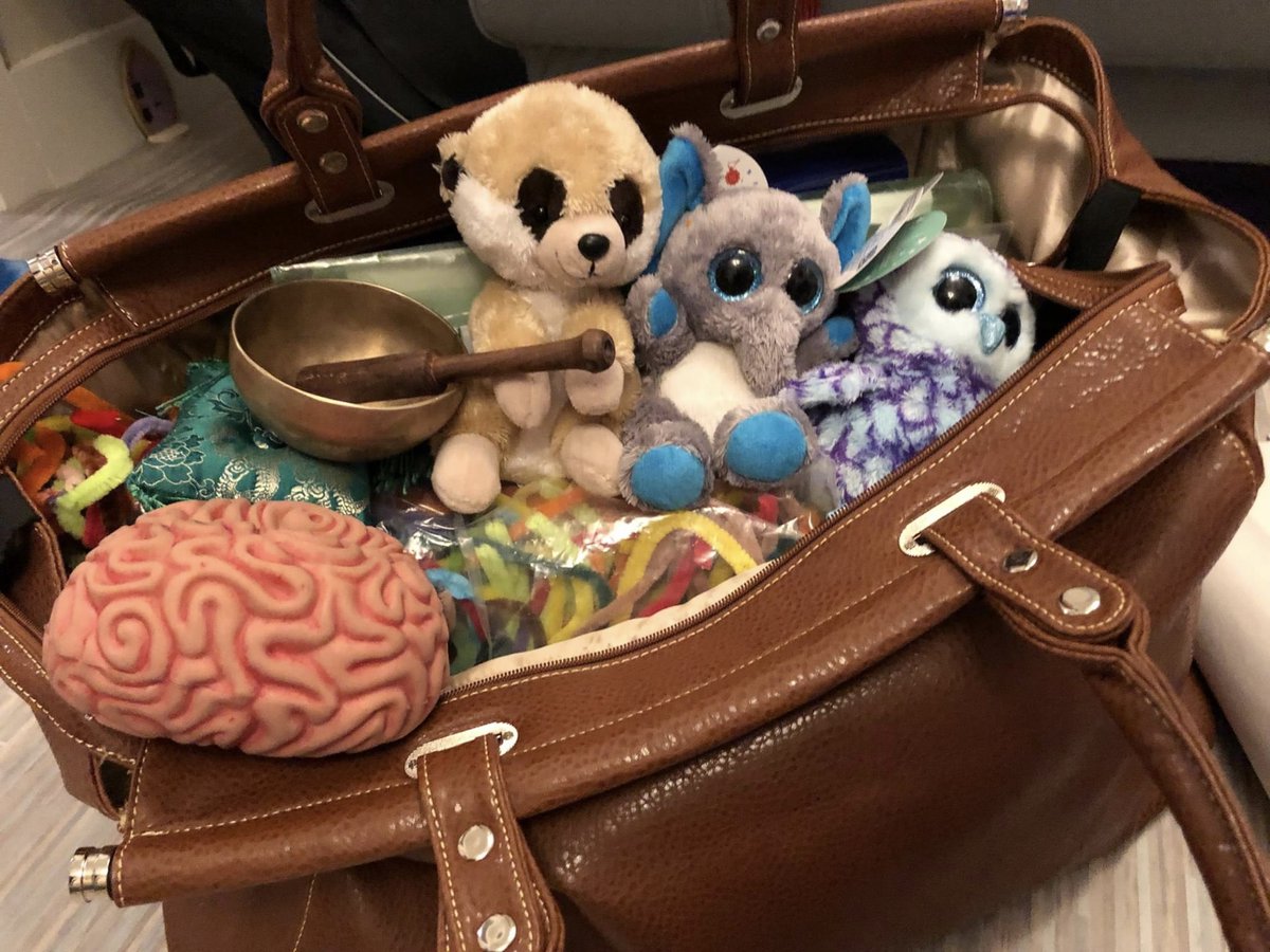 EmotionALLServ's tweet photo. Owl Meerkat Elephant made their way to class this Friday - some new members in class so the others member shared all #triunebrain #meerkatmoment #neuroplasticity #growthmindset #trauma #resilience #breathe #vagusnerve #emotionalliteracy #emotionalaglity #emotionalwellbeing https://t.co/z6oNp8Xa06