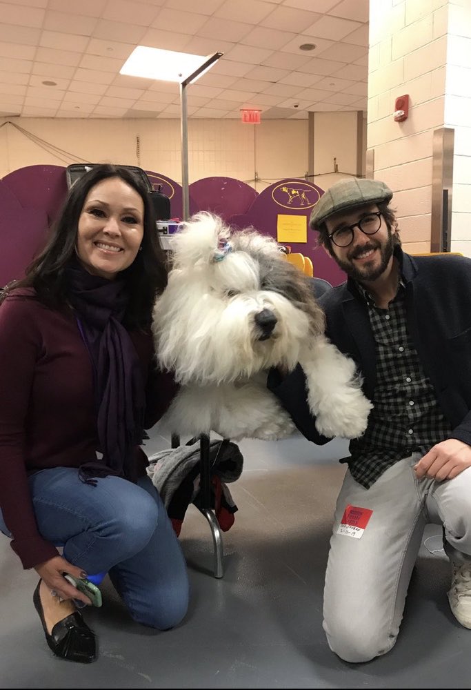 suzannede4's tweet photo. 🐶🦮🐕🦺🐩🐕 #lookingback2019 Josh pic for the day #nationaldogshow #nyc https://t.co/O5JPTzTW8O