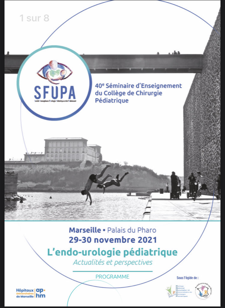 Off to Marseille for the #sfupa seminar on endourology, great program for the next 2 days…